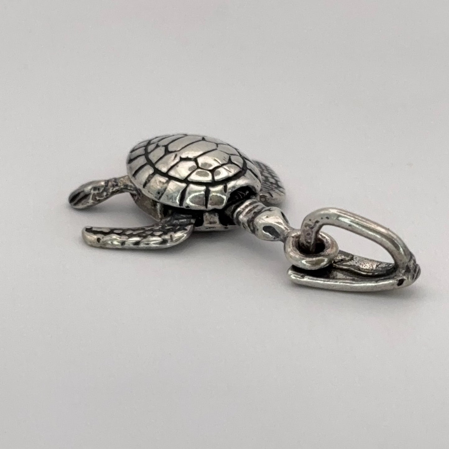 Articulated Turtle