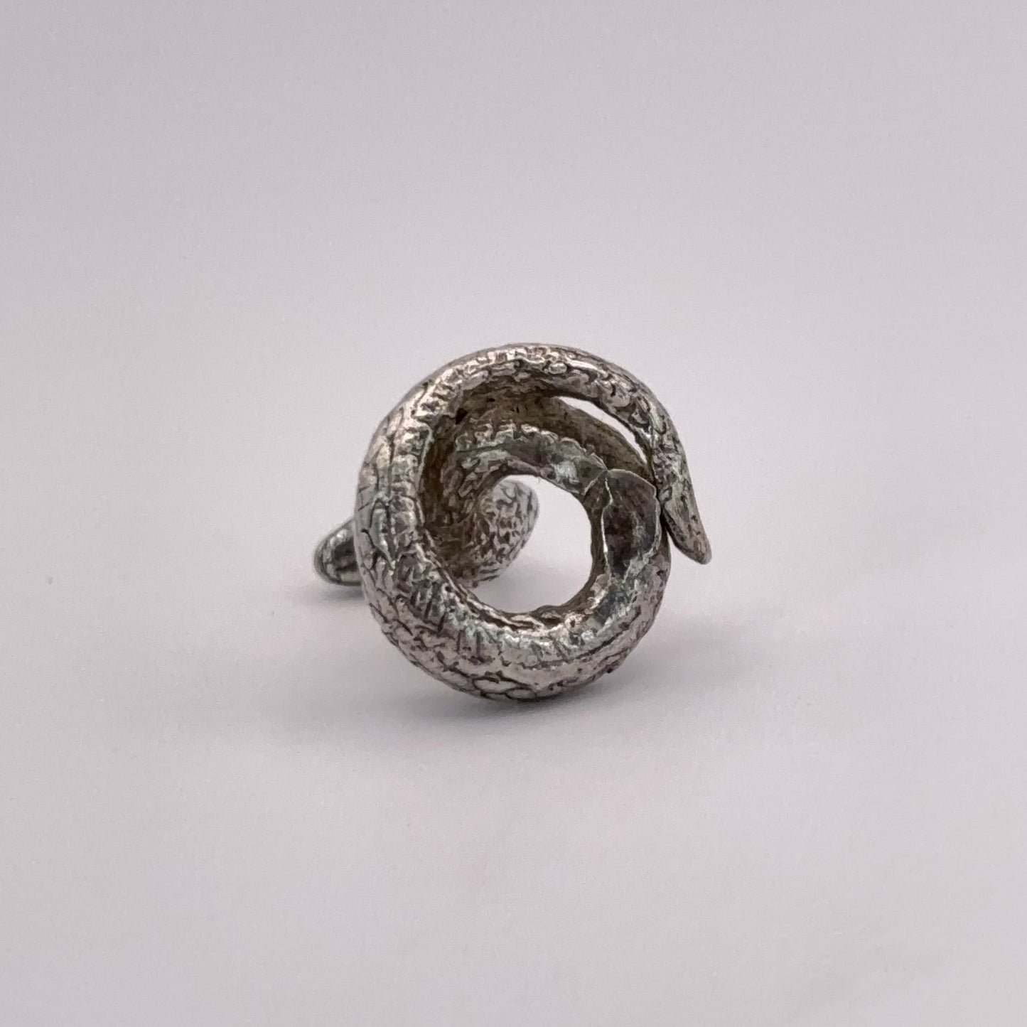 Coiled Snake