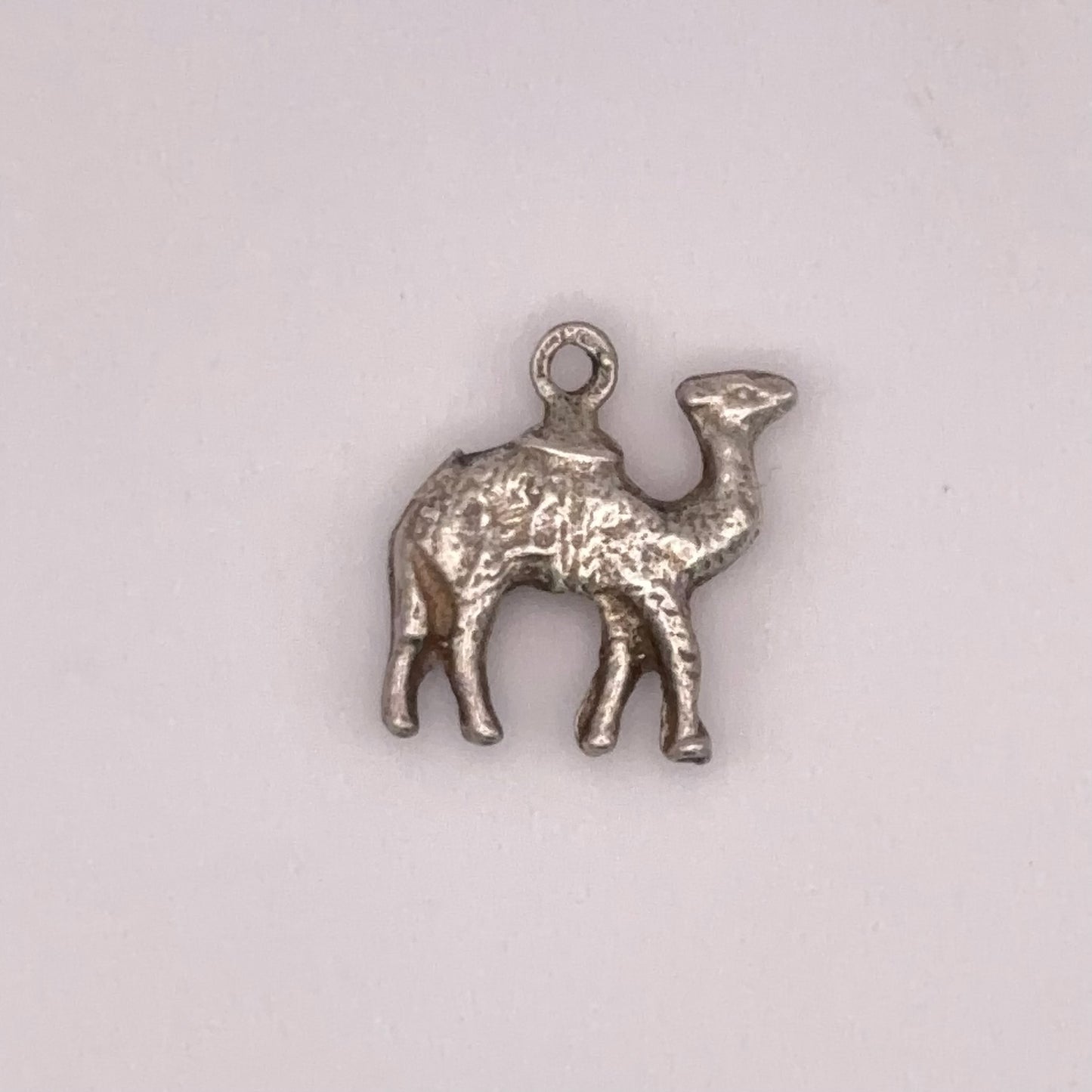 Humph Camel