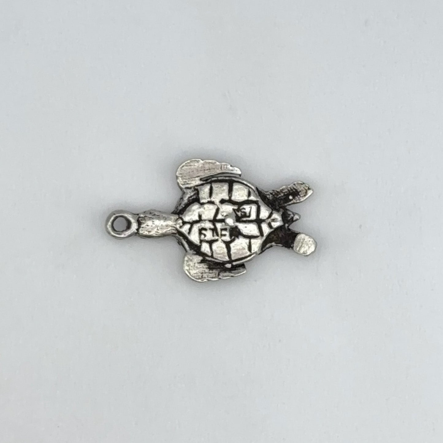 Sea Turtle