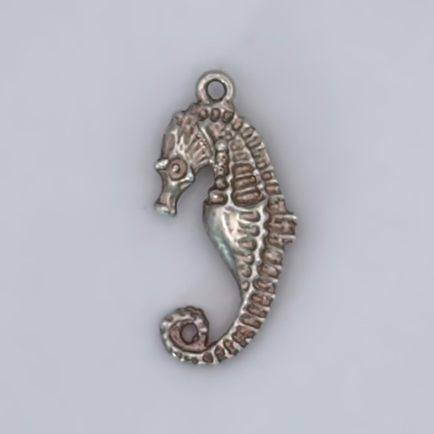 Sandy Seahorse