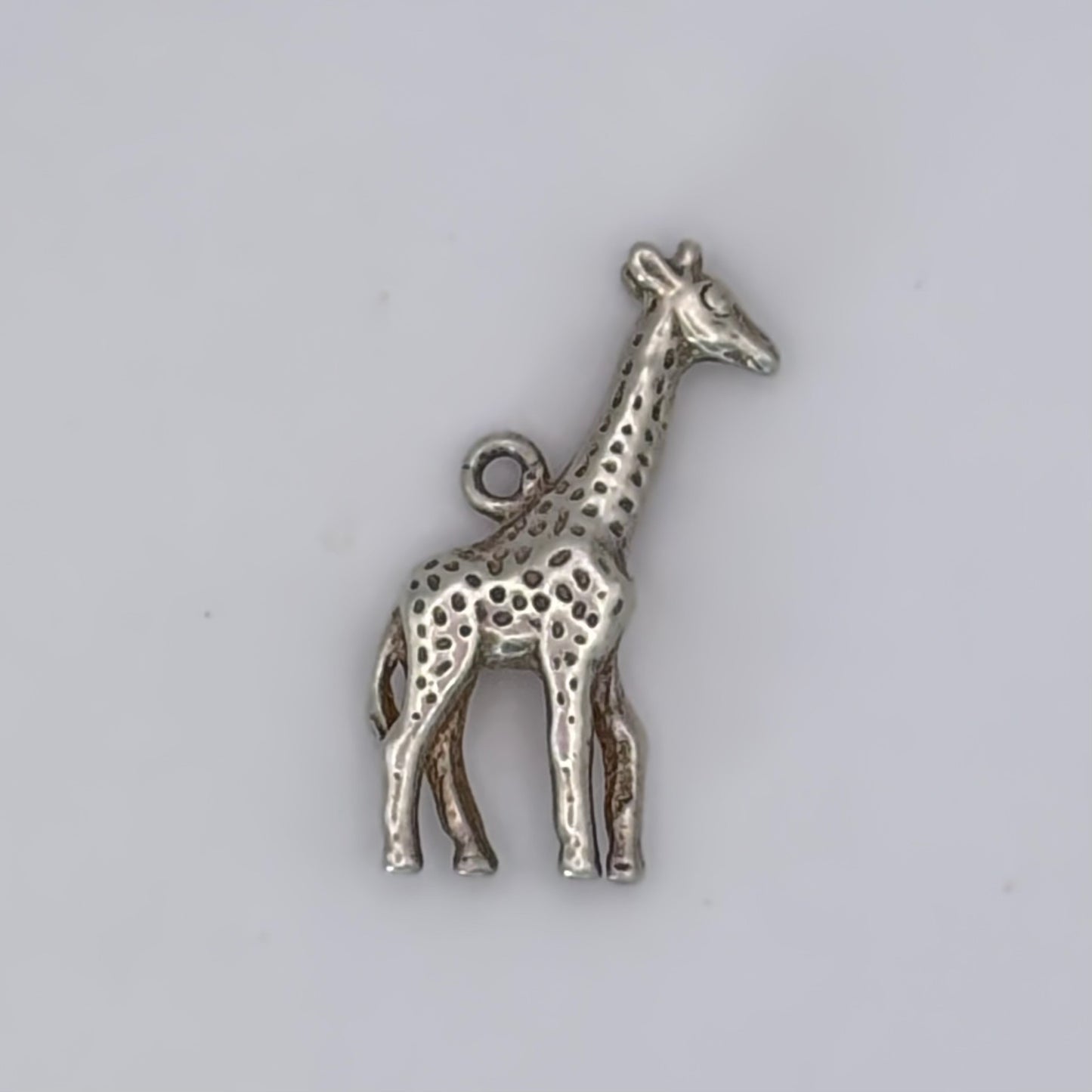 Gentle Giraffe