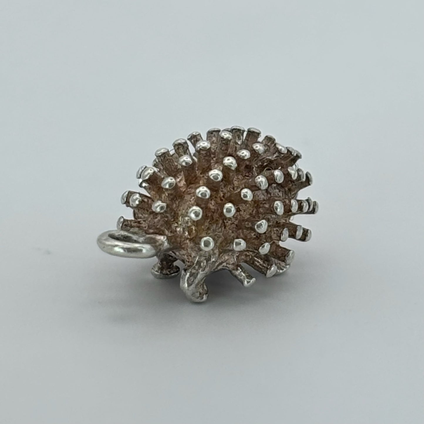 Lucky Hedgehog