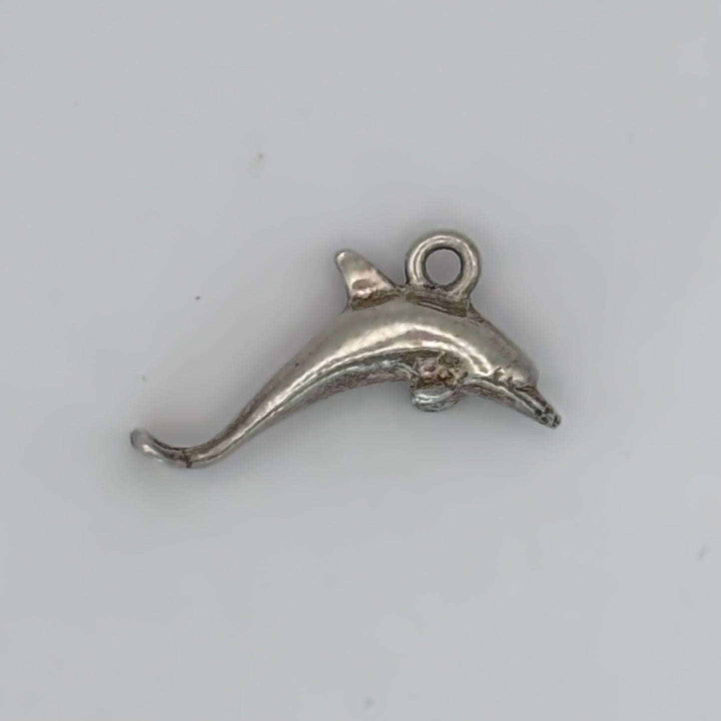 Darling Dolphin