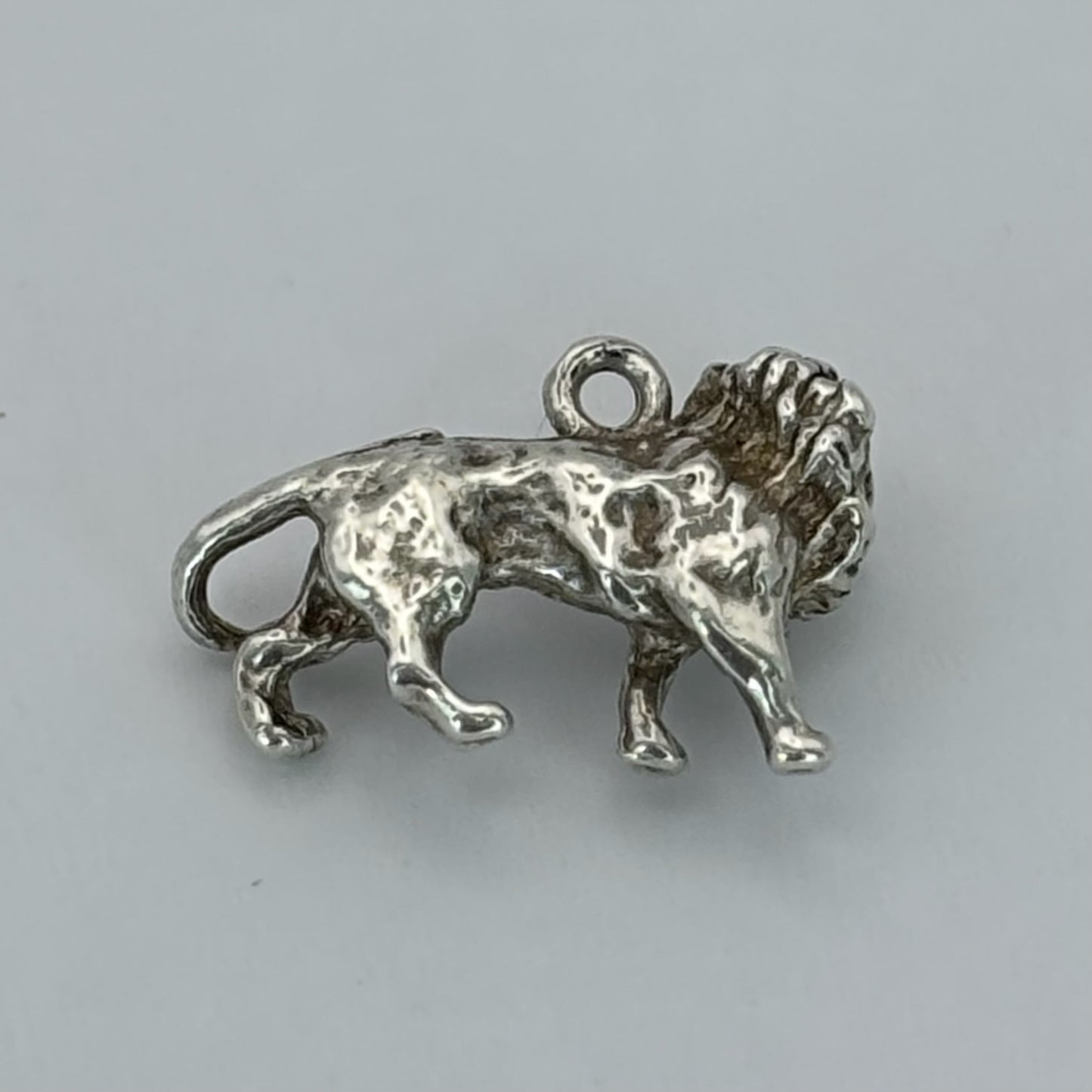 Strong Lion