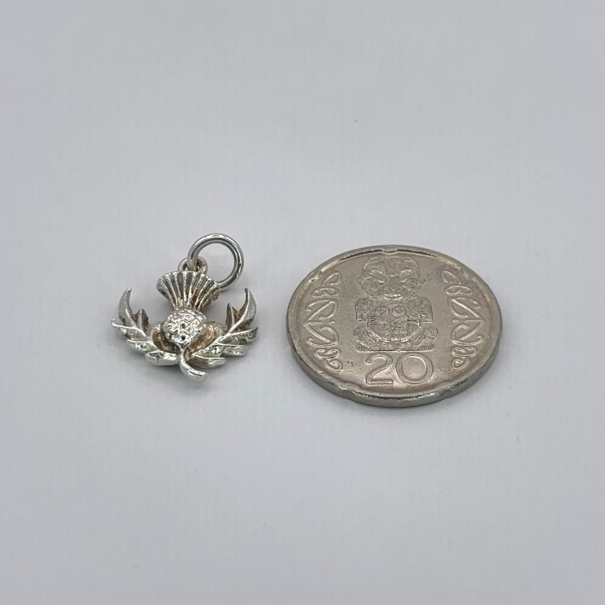 Scottish Thistle