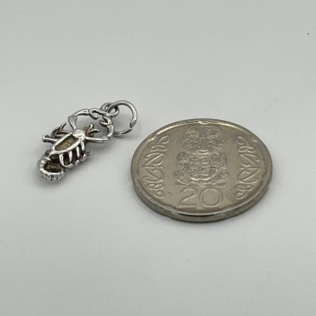 Friendly Scorpion