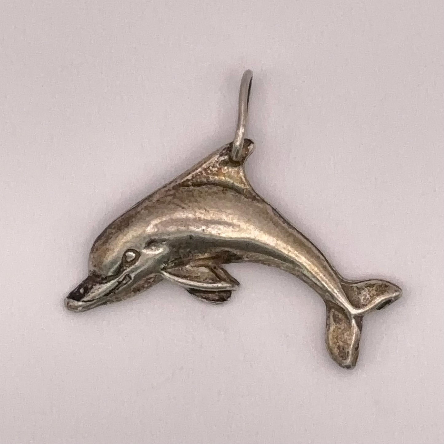 Diving Dolphin