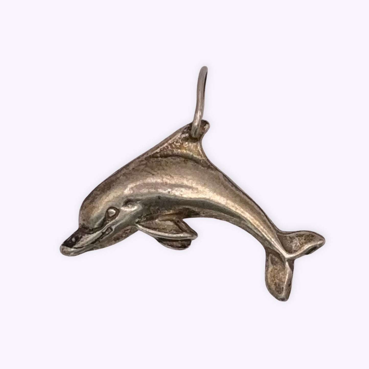 Diving Dolphin