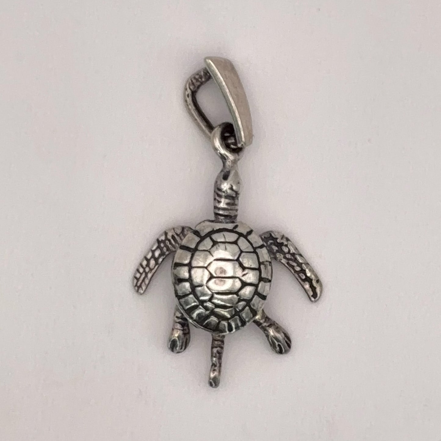 Articulated Turtle