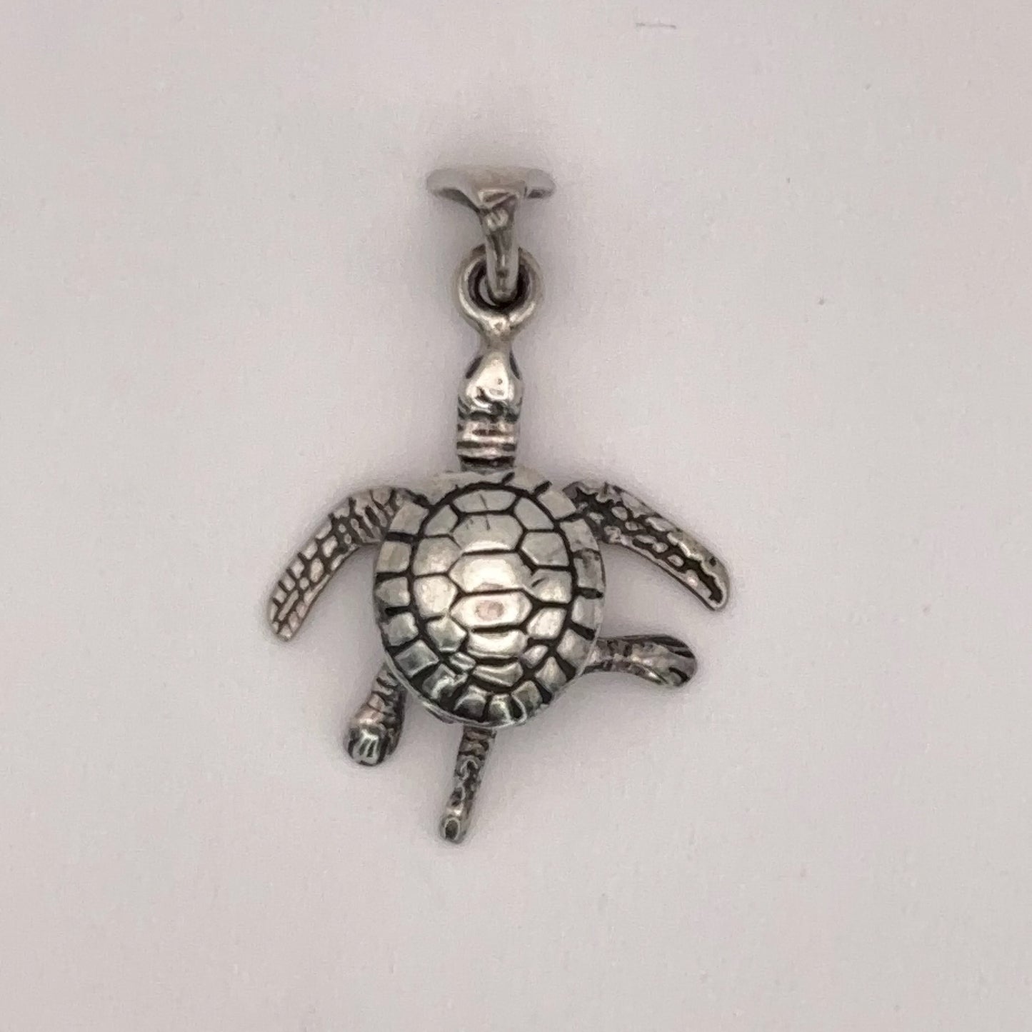 Articulated Turtle
