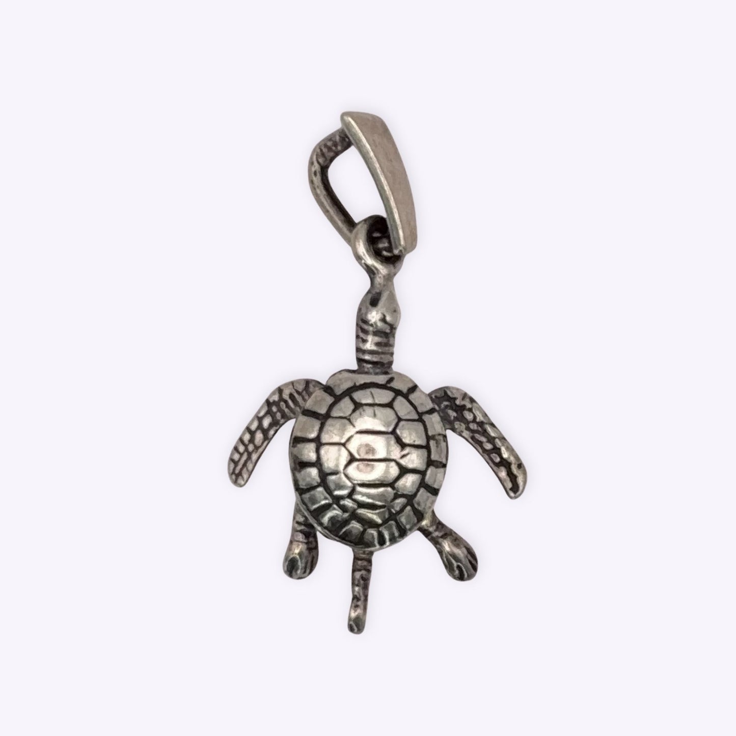 Articulated Turtle