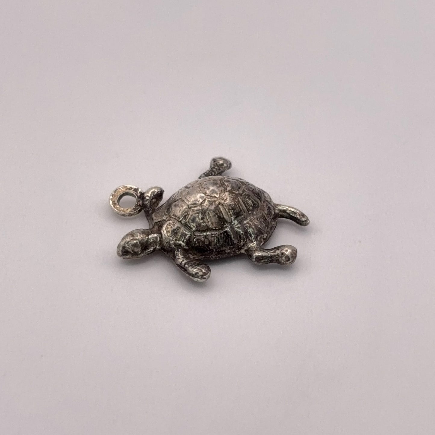 Swimming Turtle