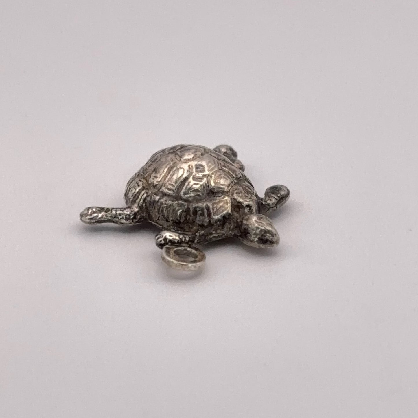 Swimming Turtle
