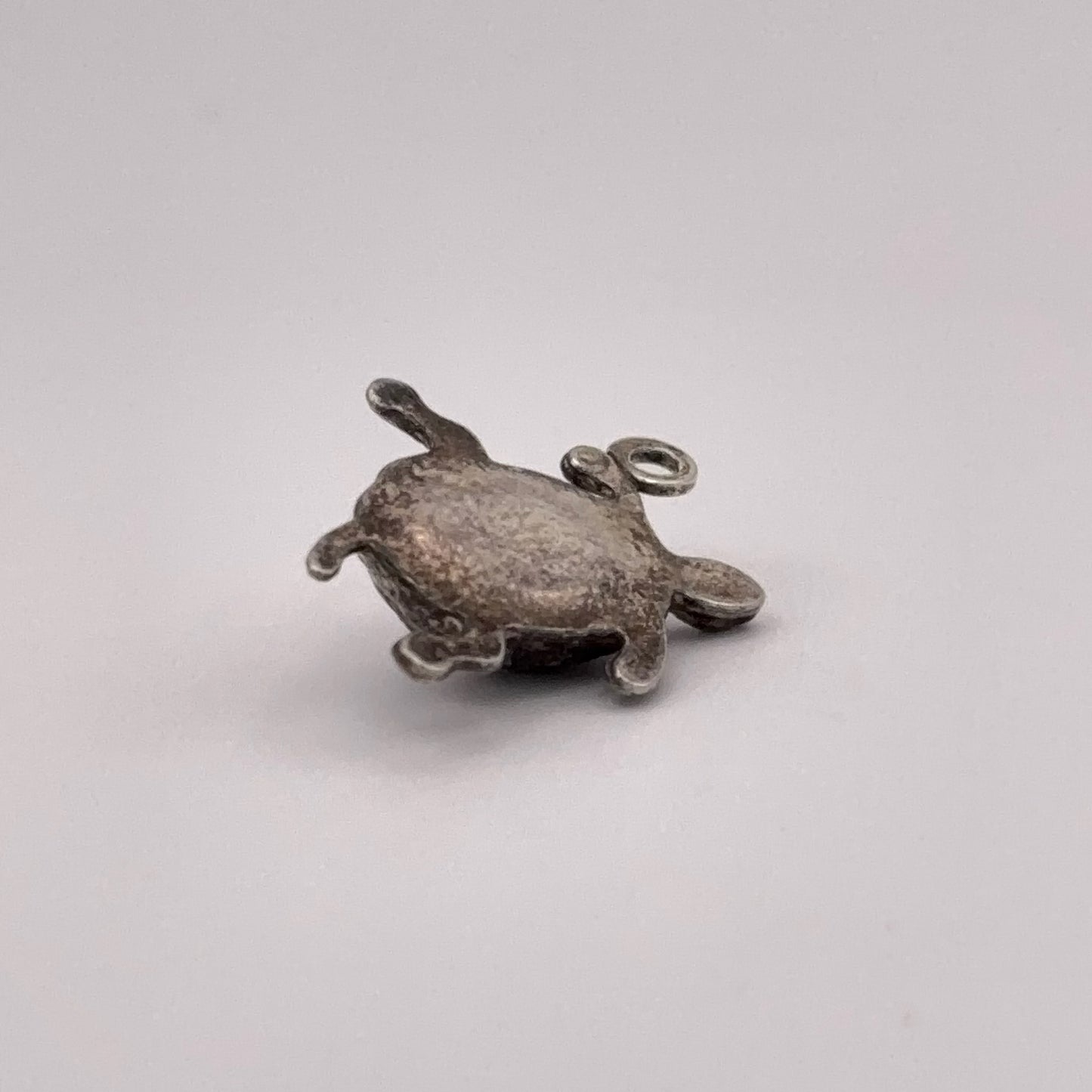 Swimming Turtle