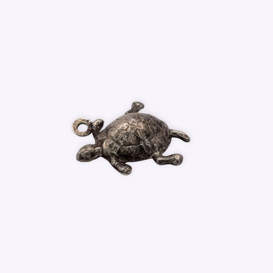 Swimming Turtle