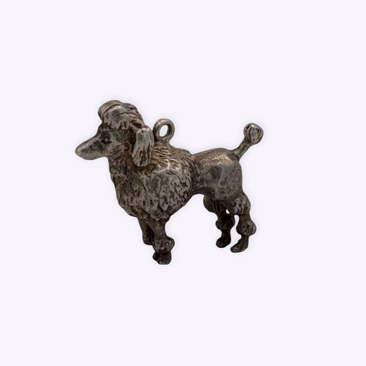 Substantial Poodle