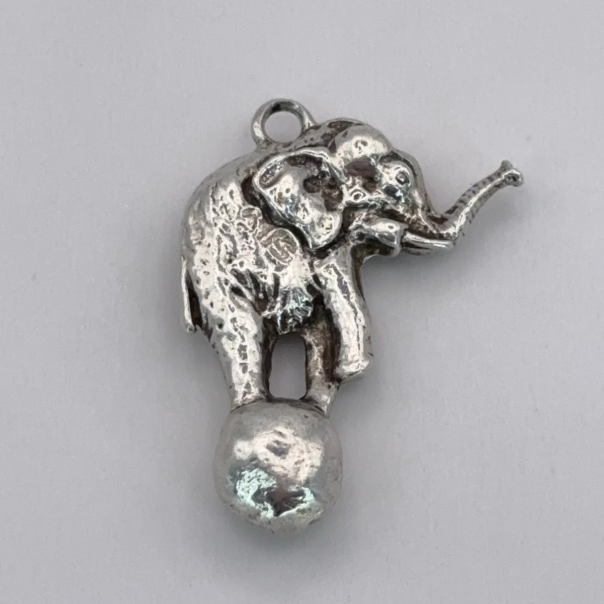 Circus Elephant