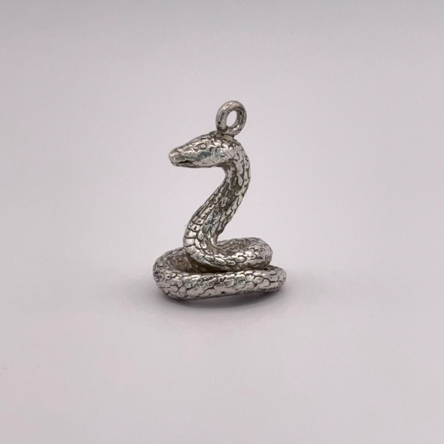 Coiled Snake