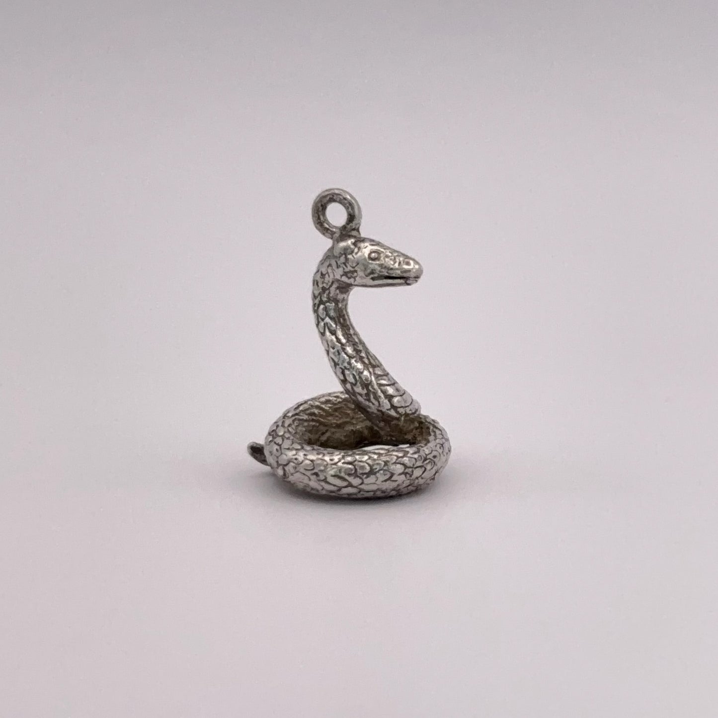 Coiled Snake