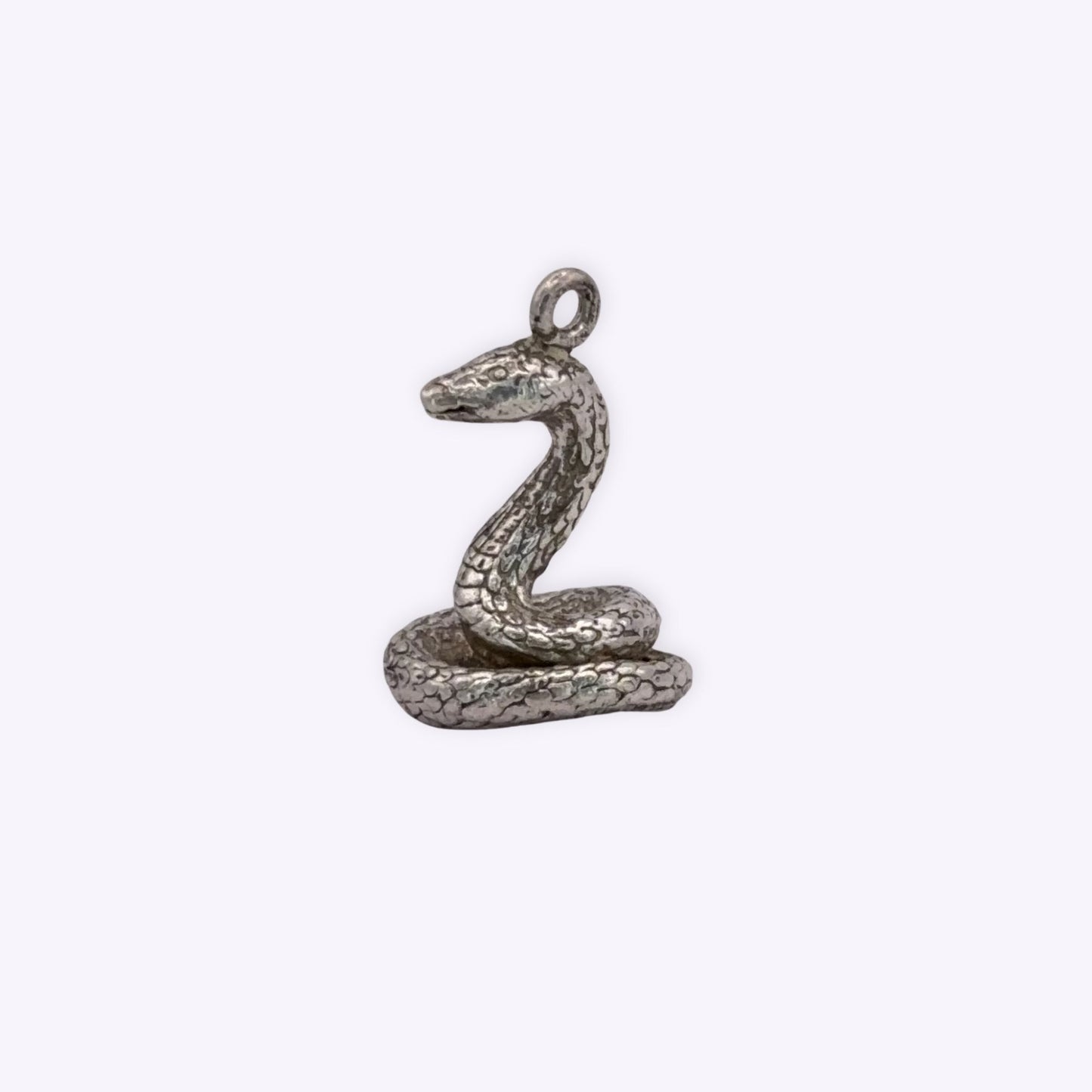 Coiled Snake