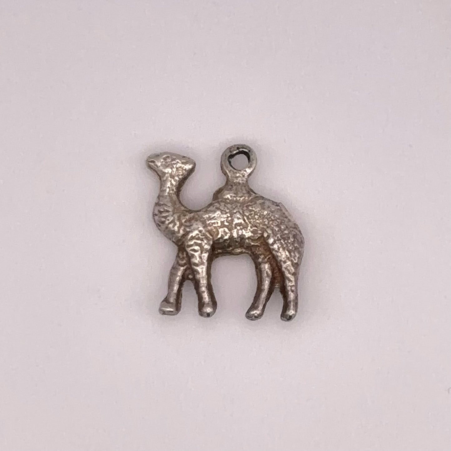 Humph Camel