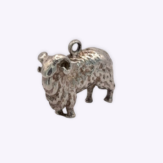 Robust Ram