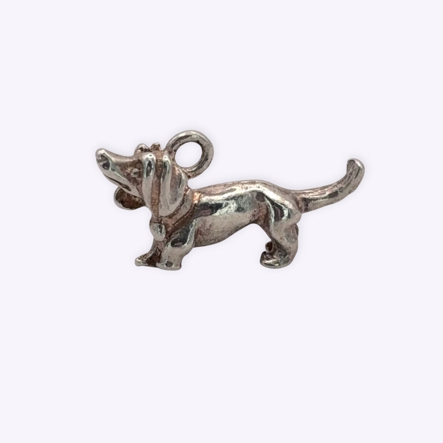 Sausage Dog
