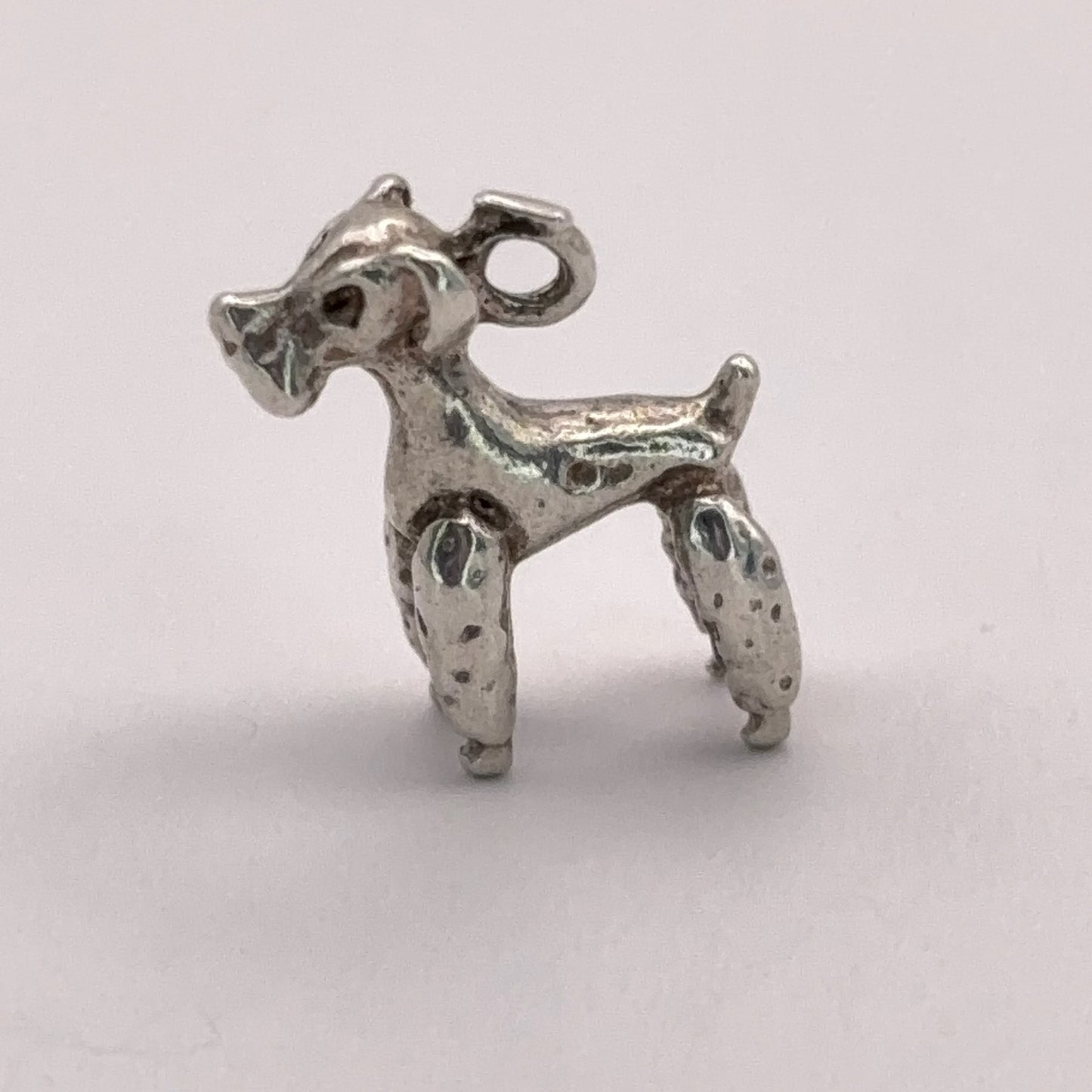 Terrier Dog