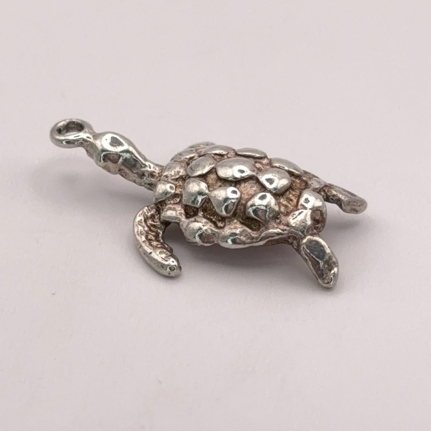 Bubbly Turtle