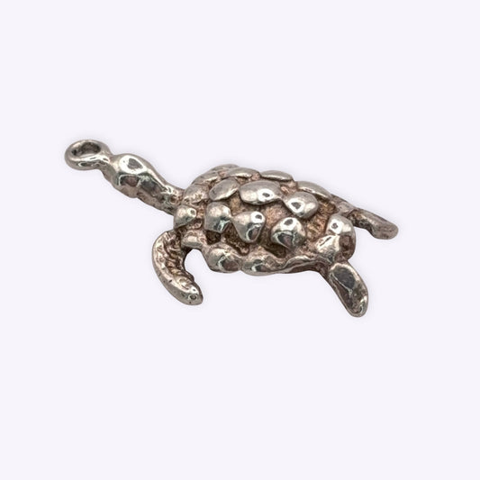 Bubbly Turtle