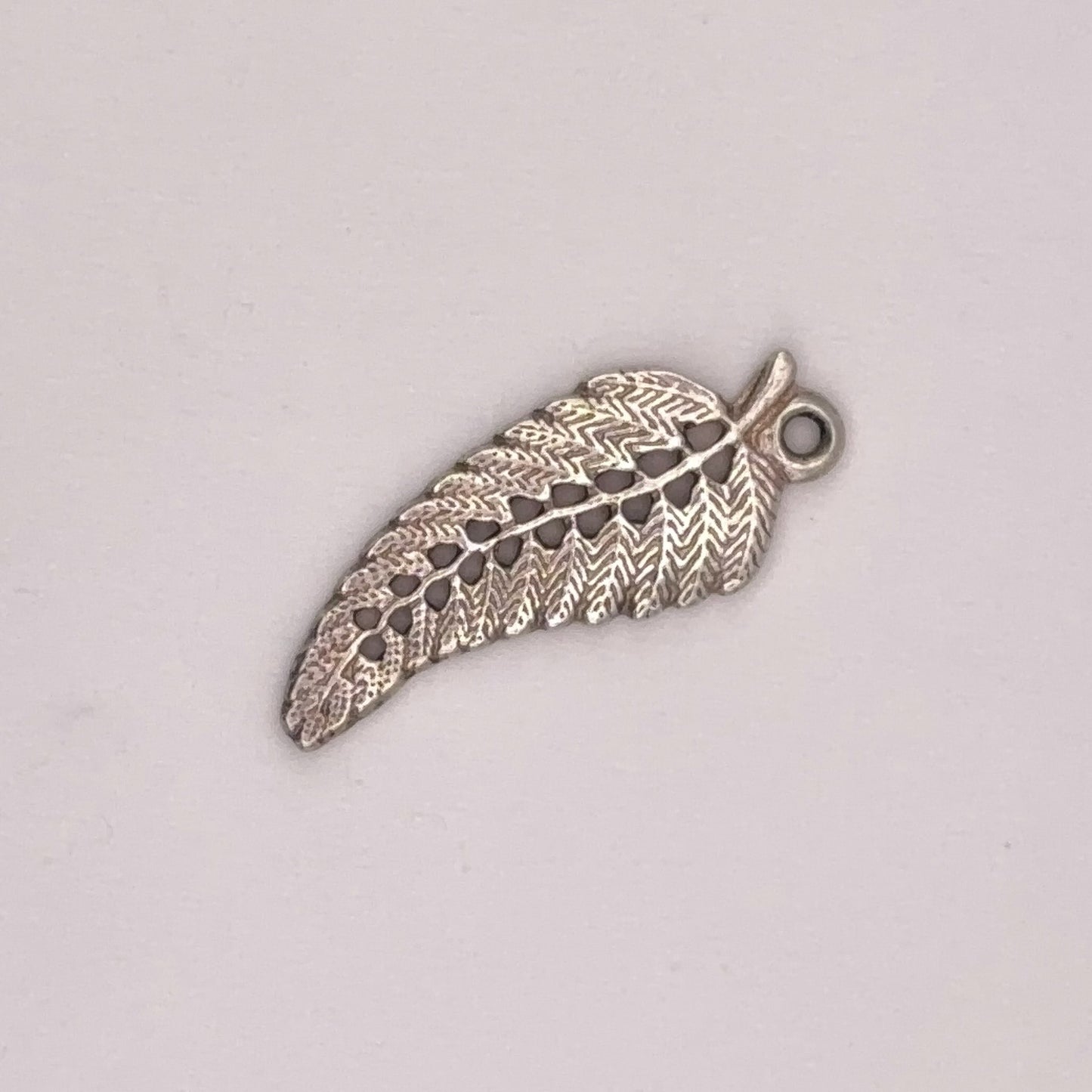 Silver Fern