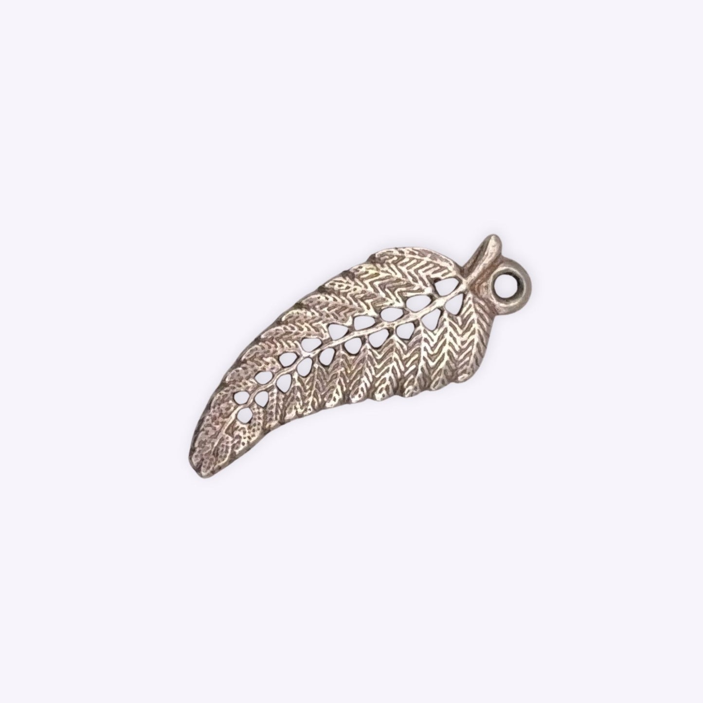 Silver Fern