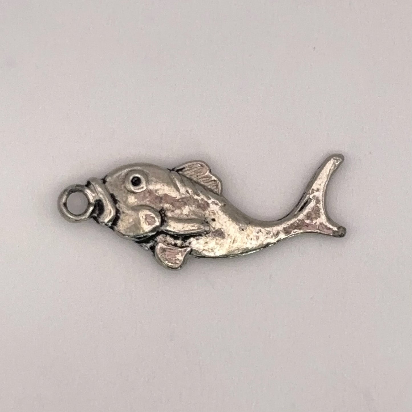 Swimming Fish