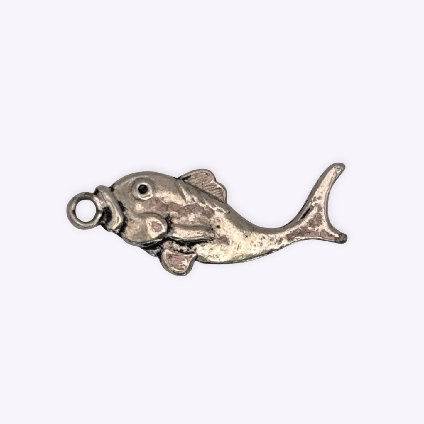 Swimming Fish