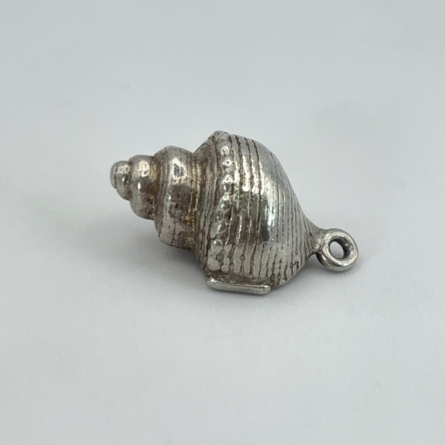 Beachy Seashell