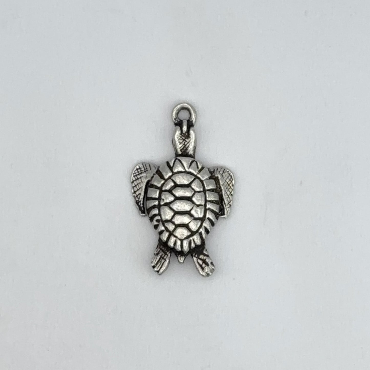 Sea Turtle