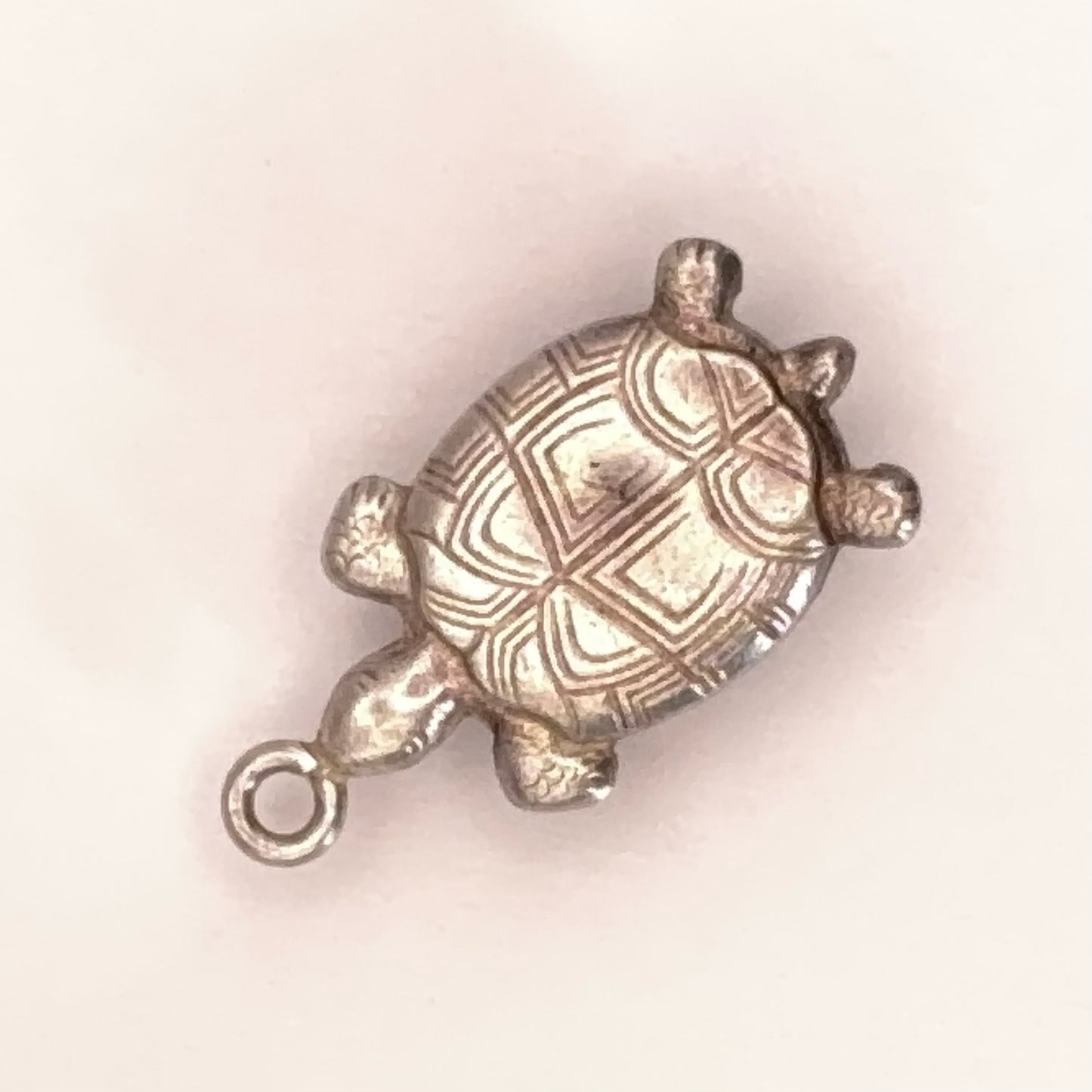 Pretty Turtle