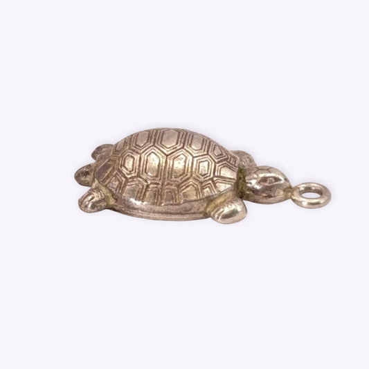 Pretty Turtle