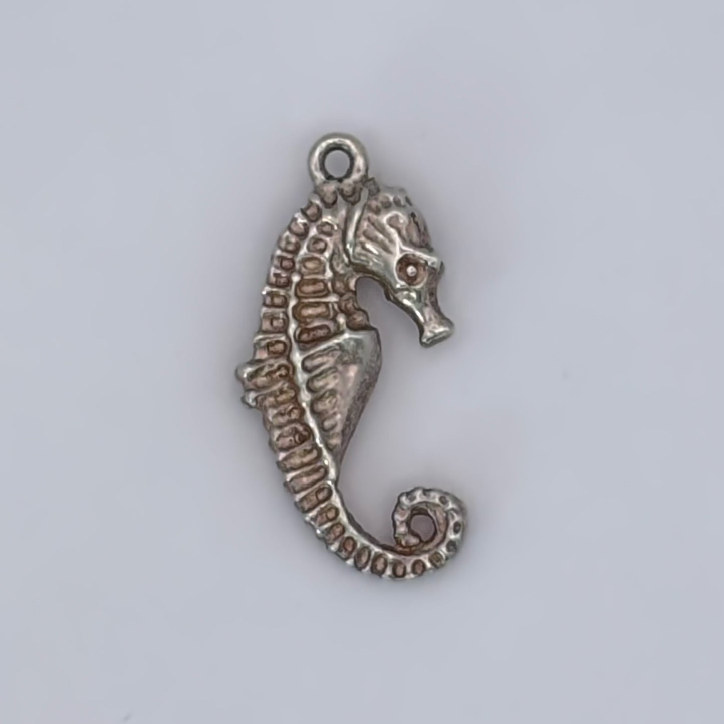 Sandy Seahorse