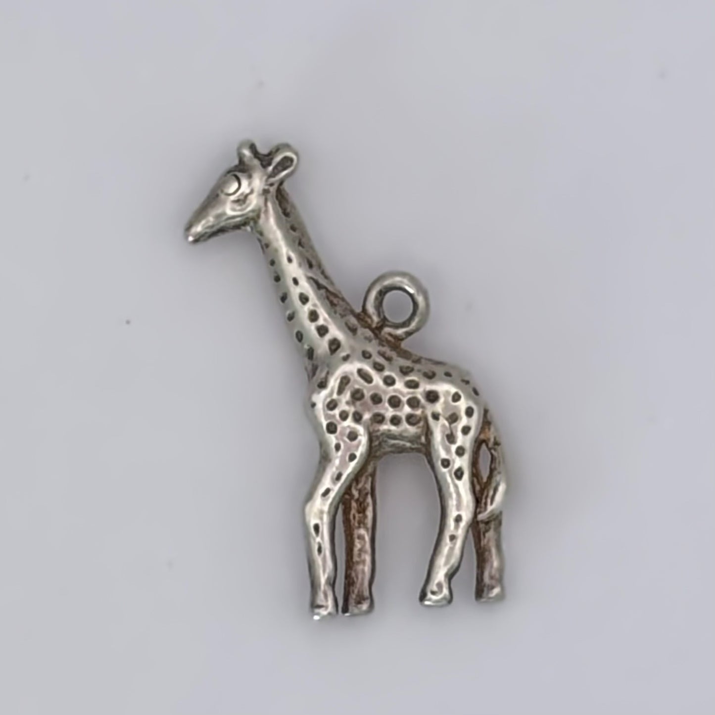 Gentle Giraffe