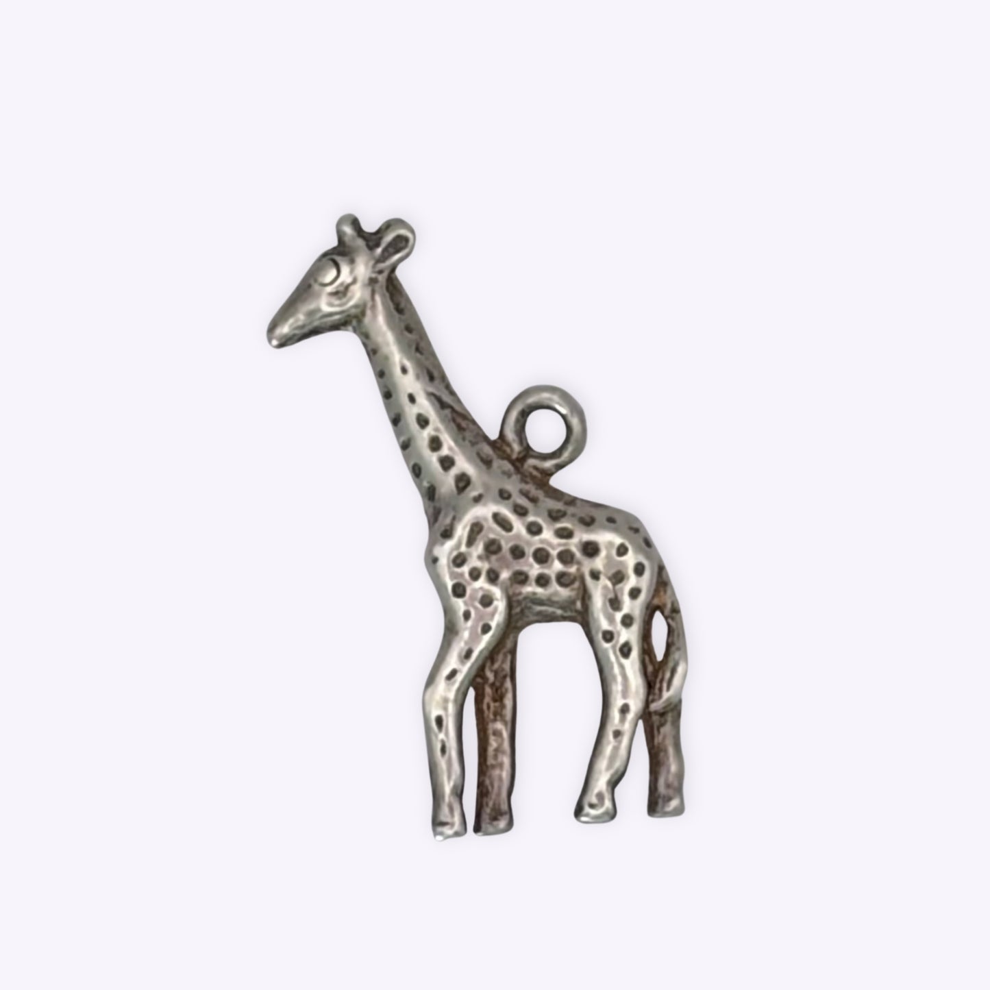 Gentle Giraffe