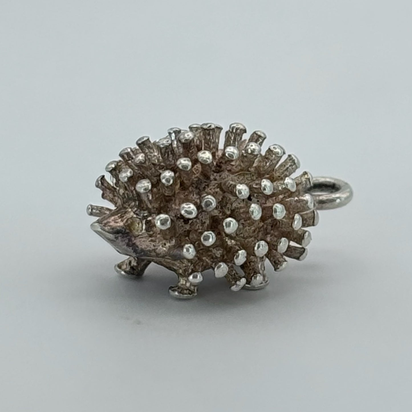 Lucky Hedgehog