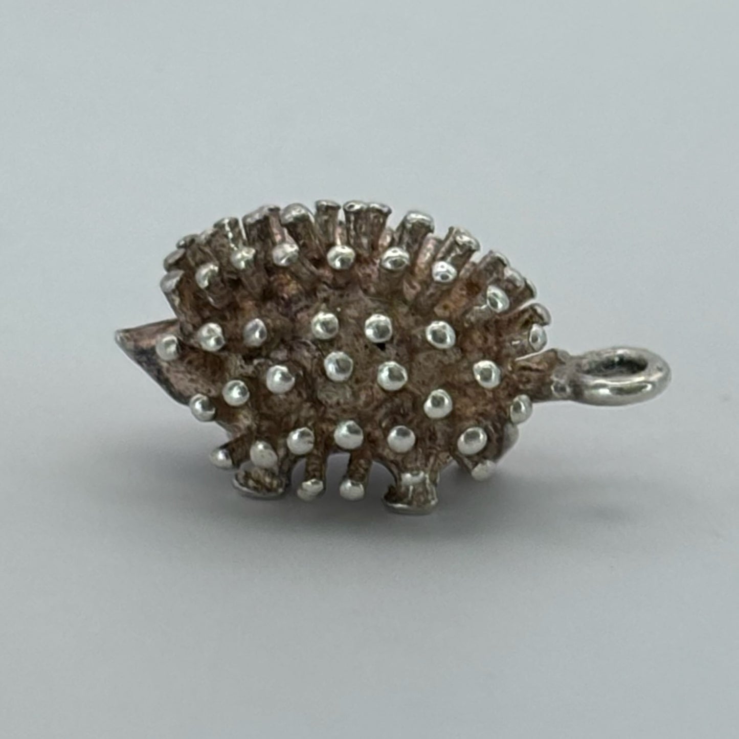 Lucky Hedgehog