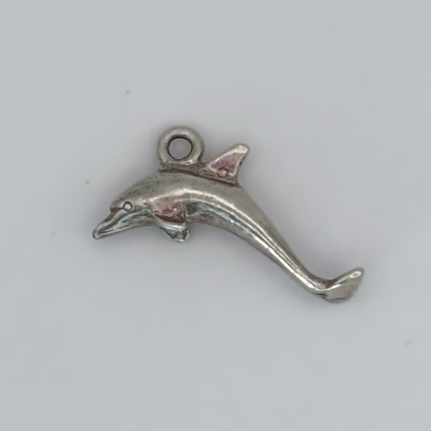 Darling Dolphin