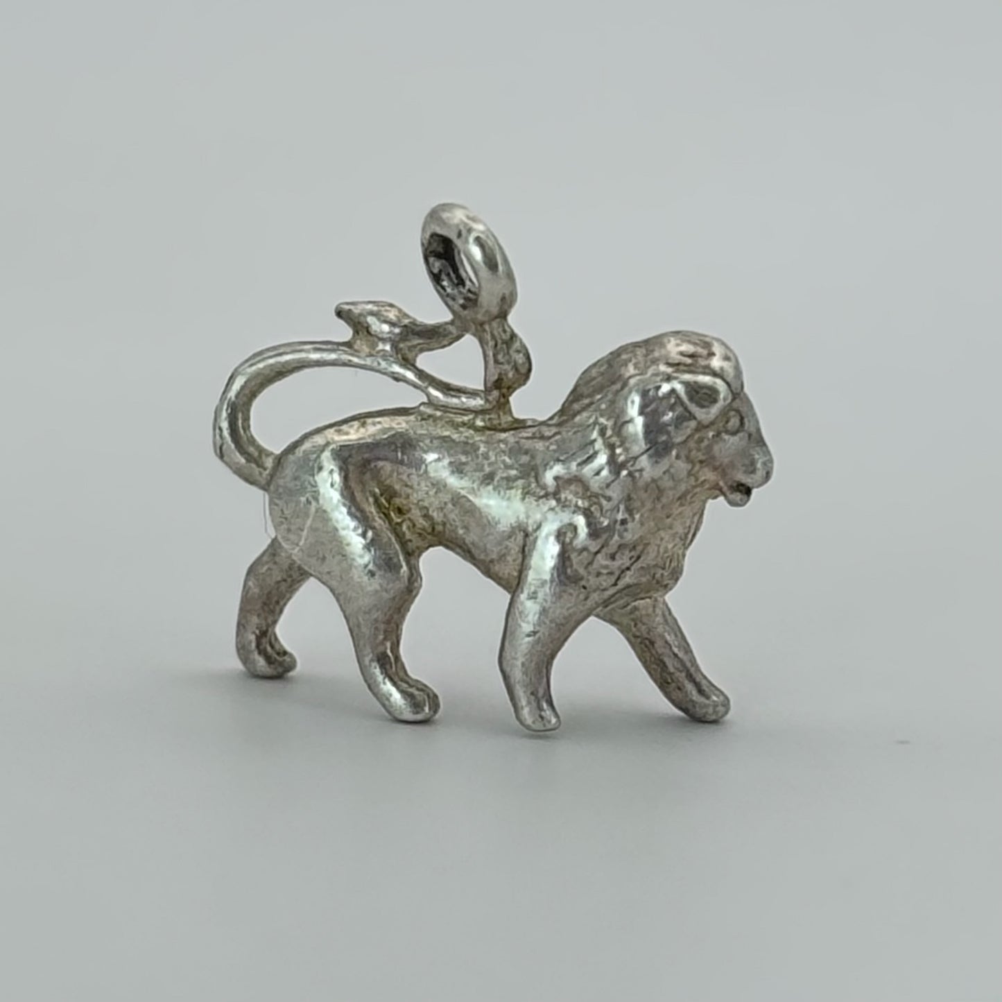 Wild Lion