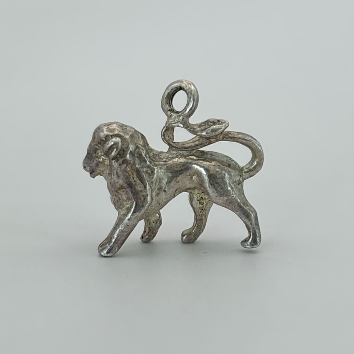 Wild Lion