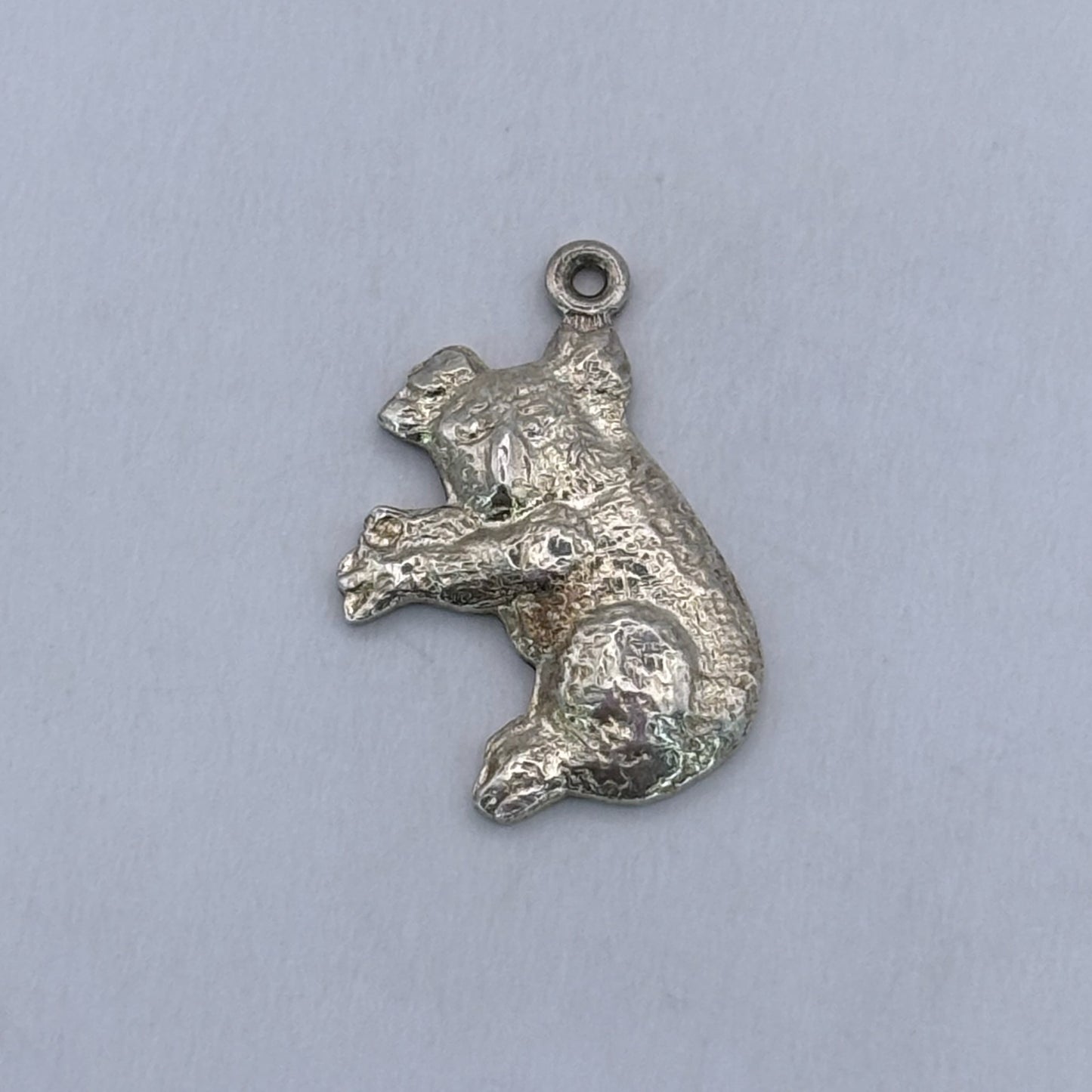 Shiny Koala