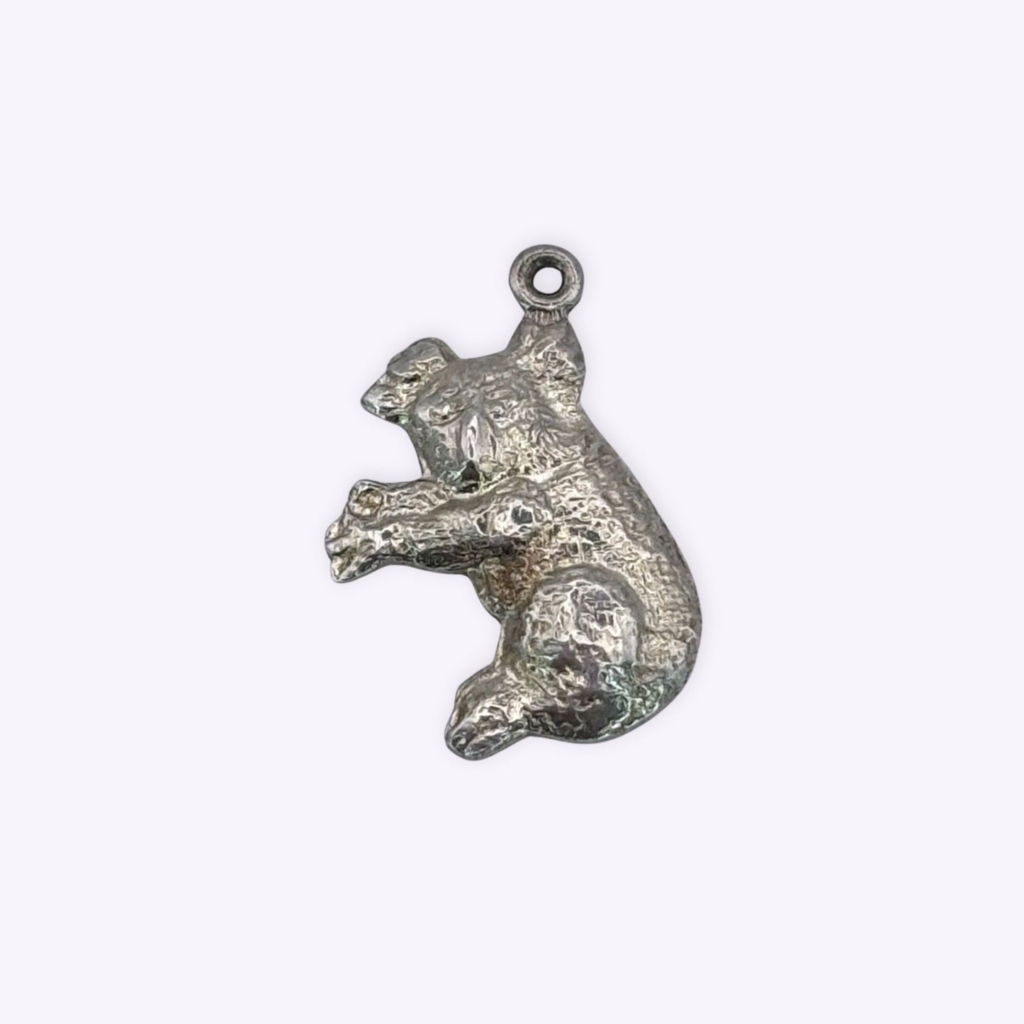 Shiny Koala