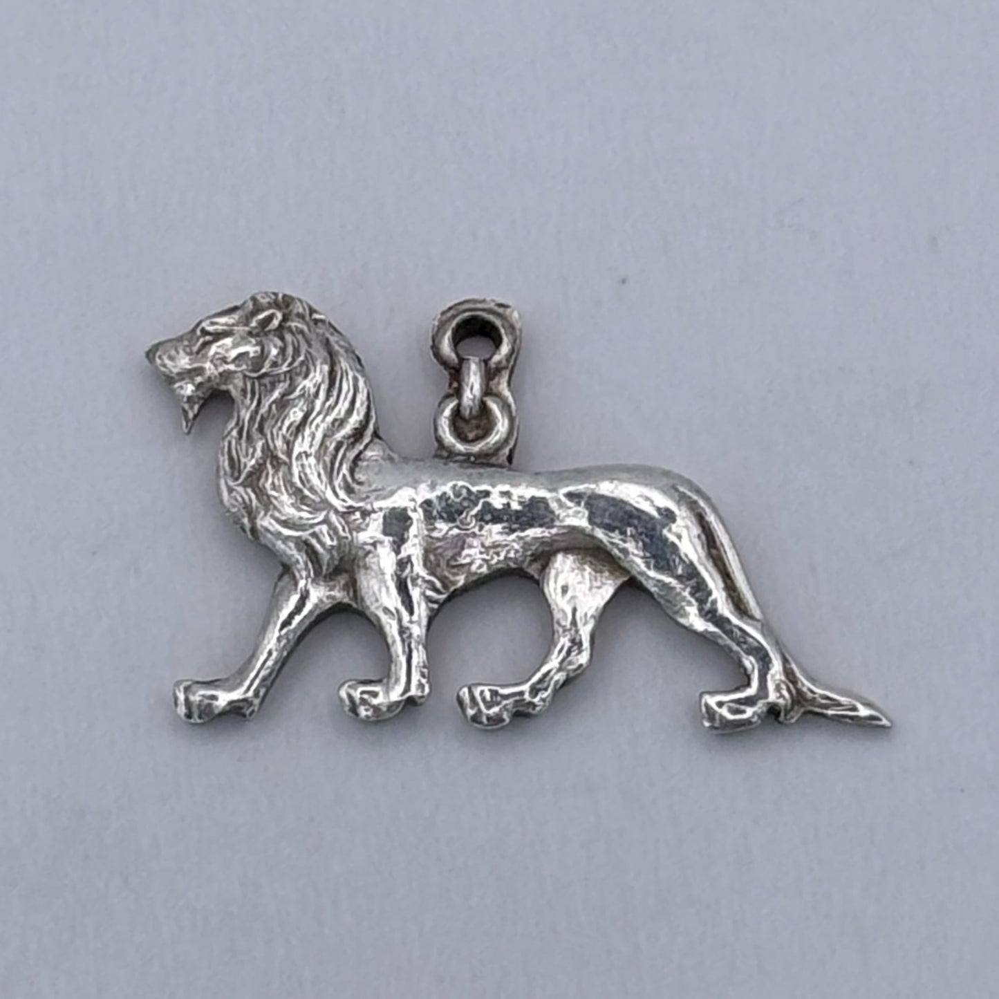 Distinguished Lion